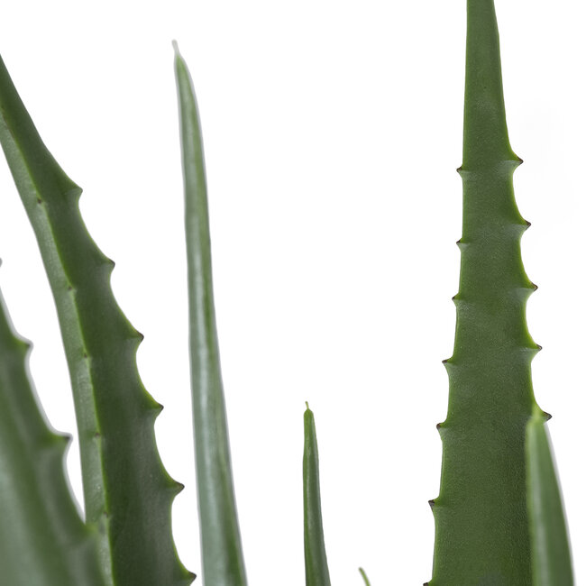 Artificial Garden ALOE 20066 Τεχνητό Διακοσμητικό Φυτό Αλόη Υ65cm Artificial Garden ALOE 20066 Τεχνητό Διακοσμητικό Φυτό Αλόη Υ65cm