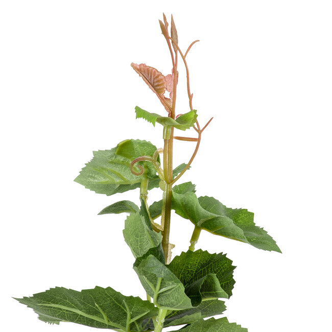 Artificial Garden VITIS GRAPE TREE 20379 Τεχνητό Διακοσμητικό Φυτό Άμπελος Υ90cm - 4