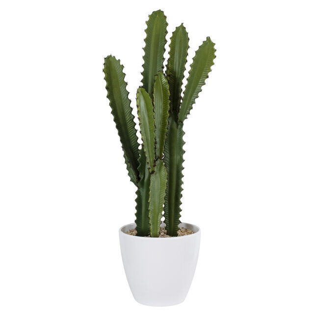 Artificial Garden CEREUS JAMACARU CACTUS 20099 Τεχνητό Διακοσμητικό Φυτό Κάκτος Κηρίος Υ66cm Artificial Garden CEREUS JAMACARU CACTUS 20099 Τεχνητό Διακοσμητικό Φυτό Κάκτος Κηρίος Υ66cm