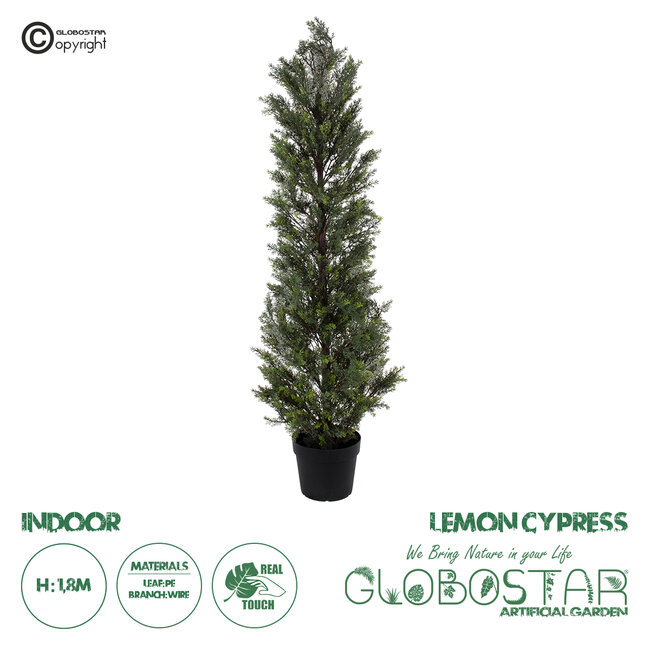 Artificial Garden LEMON CYPRESS 20153 Τεχνητό Διακοσμητικό Φυτό Λεμονόκυπάρισσο Υ180cm Artificial Garden LEMON CYPRESS 20153 Τεχνητό Διακοσμητικό Φυτό Λεμονόκυπάρισσο Υ180cm