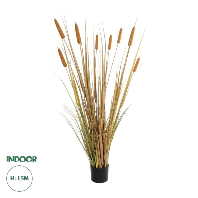 Artificial Garden TYPHA GRASS 21483 Τεχνητό Διακοσμητικό Φυτό Γρασίδι της Τύφας Μ70 x Π40 x Υ150cm