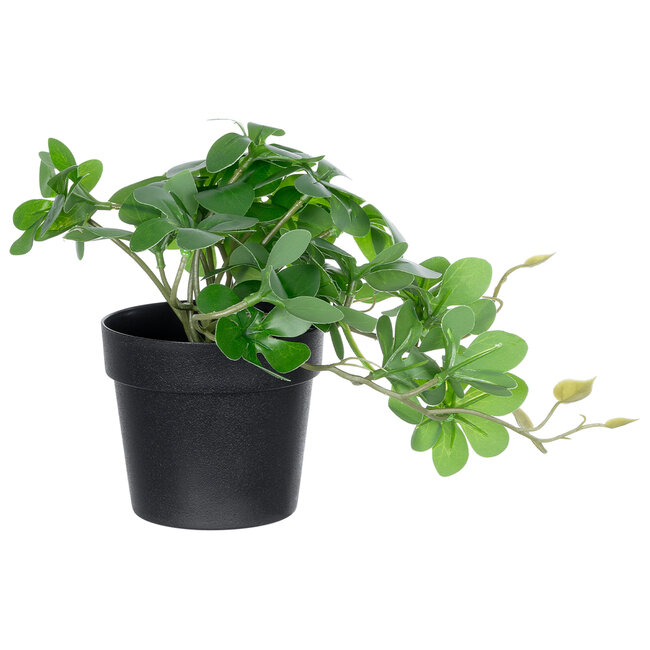Artificial Garden SCHEFFLERA PLANT 20954 Διακοσμητικό Φυτό Σεφλέρα Φ18 x Υ17cm - 2