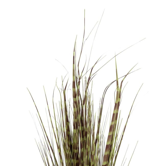 Artificial Garden ZEBRA GRASS 21482 Τεχνητό Διακοσμητικό Φυτό Ζέμπρα  Υ85cm