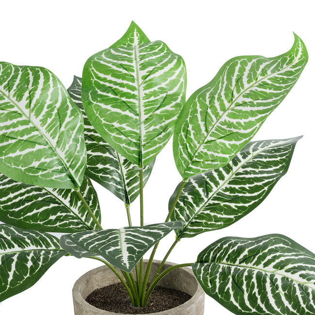 Artificial Garden ZEBRA POTTED PLANT 20898 Διακοσμητικό Φυτό Ζέμπρα Φ40 x Υ33cm - 3