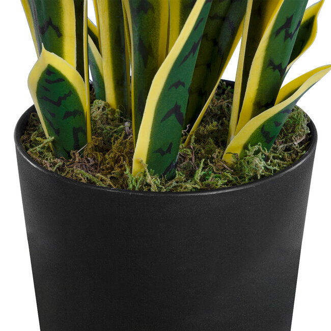 Artificial Garden BLOODLEAF DRACAENA TRIFASCIATA 20060 Τεχνητό Διακοσμητικό Φυτό Αιματόφυλλη Σανσεβιέρια Υ70cm - 4