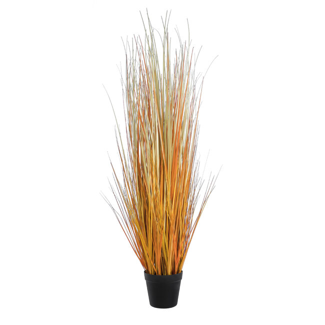 Artificial Garden BUCHANANS SEDGE GRASS 20115 Τεχνητό Διακοσμητικό Φυτό Γρασίδι του Μπουχανάν Υ120cm Artificial Garden BUCHANANS SEDGE GRASS 20115 Τεχνητό Διακοσμητικό Φυτό Γρασίδι του Μπουχανάν Υ120cm