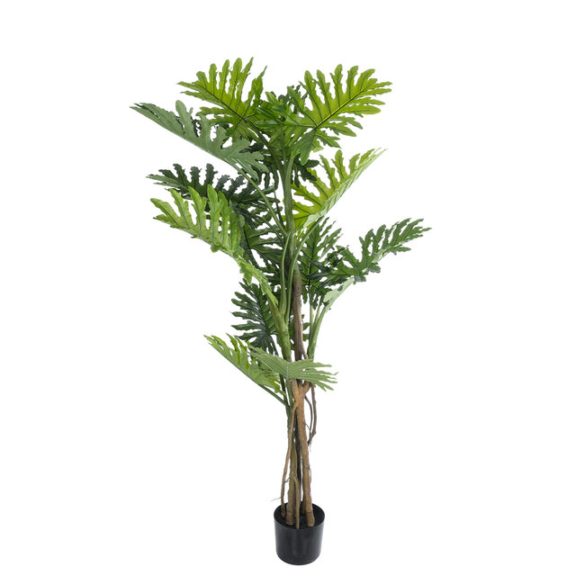 Artificial Garden PHILODENDRON 20684 Τεχνητό Διακοσμητικό Φυτό Φυλλόδενδρο Υ150cm Artificial Garden PHILODENDRON 20684 Τεχνητό Διακοσμητικό Φυτό Φυλλόδενδρο Υ150cm