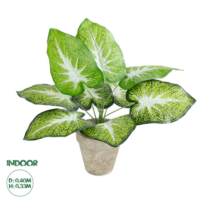 Artificial Garden CALADIUM POTTED PLANT 20894 Διακοσμητικό Φυτό Καλάντιουμ Φ40 x Υ33cm Artificial Garden CALADIUM POTTED PLANT 20894 Διακοσμητικό Φυτό Καλάντιουμ Φ40 x Υ33cm