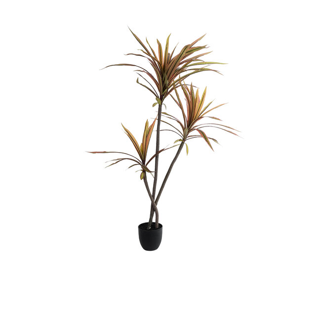 Artificial Garden DRAGON BLOOD TREE 20969 Τεχνητό Διακοσμητικό Φυτό Δράκαινα Φ100 x Υ140cm