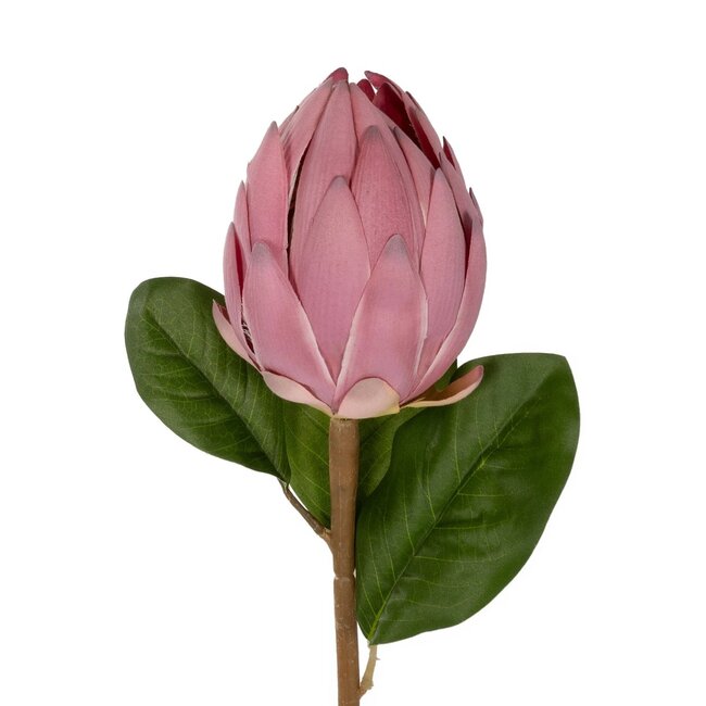 Artificial Garden PINK EMPERORS FLOWER BRANCH 21388 Τεχνητό Διακοσμητικό Κλαδί Emperors Flower Ροζ Y70cm