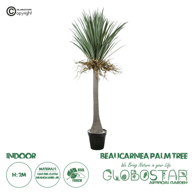 Artificial Garden BEAUCARNEA PALM TREE 20047 Τεχνητό Διακοσμητικό Φυτό Κυρτόφυλλος Μπουκαρνέα Υ200cm Artificial Garden BEAUCARNEA PALM TREE 20047 Τεχνητό Διακοσμητικό Φυτό Κυρτόφυλλος Μπουκαρνέα Υ200cm