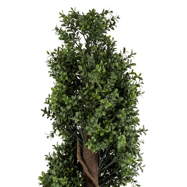 Artificial Garden BUXUS SPIRAL 20401 Τεχνητό Διακοσμητικό Φυτό Σπιράλ Πυξός Υ150cm Artificial Garden BUXUS SPIRAL 20401 Τεχνητό Διακοσμητικό Φυτό Σπιράλ Πυξός Υ150cm