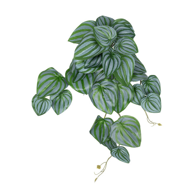 Artificial Garden PEPEROMIA HANGING PLANT 20603 Τεχνητό Διακοσμητικό Κρεμαστό Φυτό Πεπερόμια Υ45cm Artificial Garden PEPEROMIA HANGING PLANT 20603 Τεχνητό Διακοσμητικό Κρεμαστό Φυτό Πεπερόμια Υ45cm