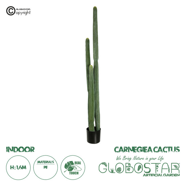 Artificial Garden CARNEGIEA CACTUS 20123 Τεχνητό Διακοσμητικό Φυτό Κάκτος Σαγκουάρο Υ160cm Artificial Garden CARNEGIEA CACTUS 20123 Τεχνητό Διακοσμητικό Φυτό Κάκτος Σαγκουάρο Υ160cm