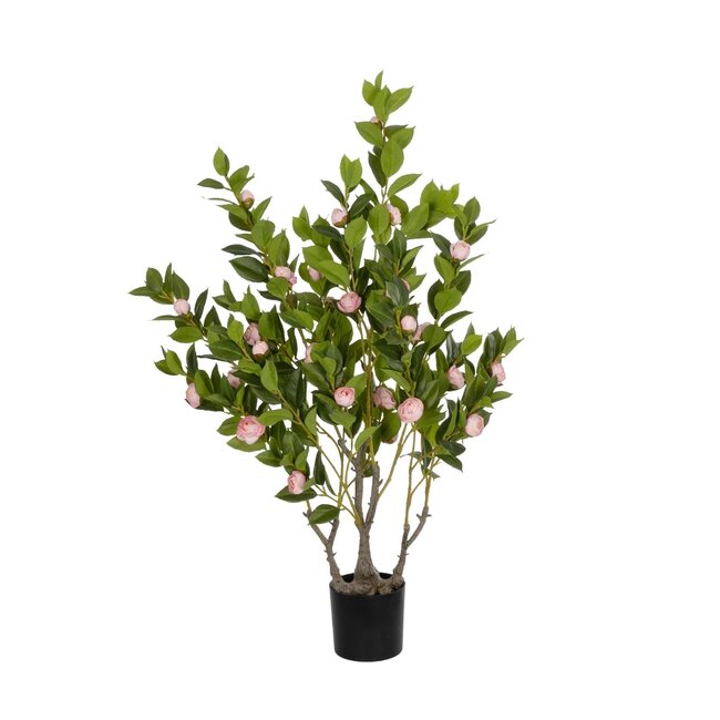 Artificial Garden CAMELIA 21115 Τεχνητό Διακοσμητικό Δέντρο Καμέλια Μ50 x Π30 x Υ90cm Artificial Garden CAMELIA 21115 Τεχνητό Διακοσμητικό Δέντρο Καμέλια Μ50 x Π30 x Υ90cm