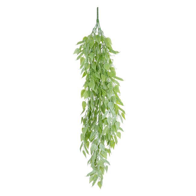 Artificial Garden HANGING LIMA BEAN 20847 Τεχνητό Διακοσμητικό Κρεμαστό Φυτό Φασόλι Λίμα Μ29 x Π10 x Υ86cm Artificial Garden HANGING LIMA BEAN 20847 Τεχνητό Διακοσμητικό Κρεμαστό Φυτό Φασόλι Λίμα Μ29 x Π10 x Υ86cm