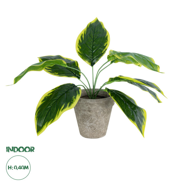 Artificial Garden YELLOW HOSTA 20899 Τεχνητό Διακοσμητικό Φυτό Κίτρινη Χόστα Υ40cm