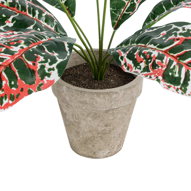 Artificial Garden RED AGLAONEMA POTTED PLANT 20901 Διακοσμητικό Φυτό Κόκκινο Αγλαόνημα Φ40 x Υ33cm - 4