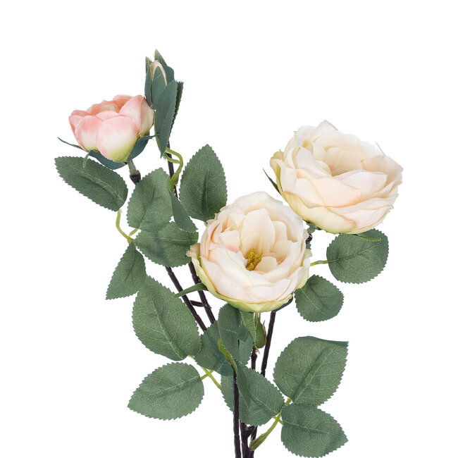 Artificial Garden CHAMPAGNE CLIMBING ROSE BRANCH 21182 Τεχνητό Διακοσμητικό Κλαδί Τριαντάφυλλο Σαμπανιζέ Y70cm