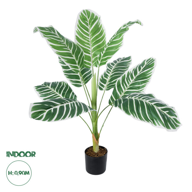 Artificial Garden WHITE ZEBRA 20943 Τεχνητό Διακοσμητικό Φυτό Λευκή Ζέβρα Υ90cm Artificial Garden WHITE ZEBRA 20943 Τεχνητό Διακοσμητικό Φυτό Λευκή Ζέβρα Υ90cm