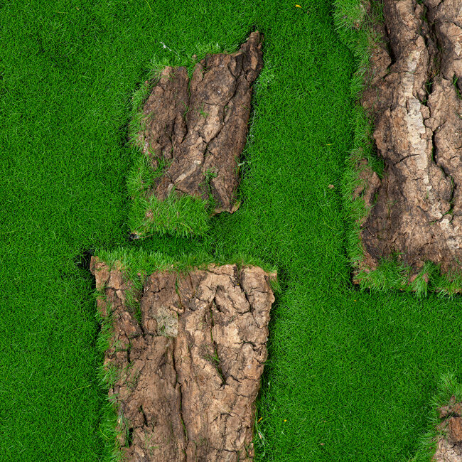 Artificial Garden BRYOPHYTA 20147 Τεχνητό Διακοσμητικό Πάνελ Φυλλωσιάς - Κάθετος Κήπος Βρύα Μ100 x Π100 x Υ3cm - 6