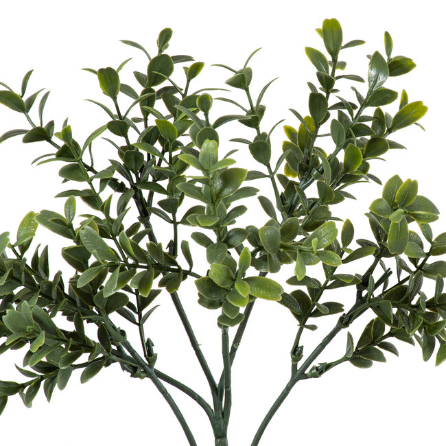Artificial Garden BUXUS 20388 Τεχνητό Διακοσμητικό Φυτό Πυξός Υ30cm Artificial Garden BUXUS 20388 Τεχνητό Διακοσμητικό Φυτό Πυξός Υ30cm