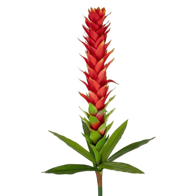 Artificial Garden RED GINGER BUD BRANCH 21393 Τεχνητό Διακοσμητικό Κόκκινο Κλαδί Ginger Y124cm