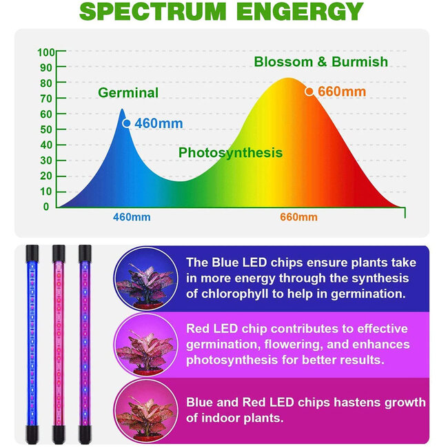 85956 Grow Light Full Spectrum LED Φωτιστικό Ανάπτυξης Φυτών Γλάστρας με 4 Κινούμενες Κεφαλές & Τρίποδο 150cm SMD 2835 80W 160° AC230V IP54 με Dimmer & Timer Εσωτερικού Χώρου για Κάλυψη Επιφάνειας 1m x 1m Πλήρους Φάσματος Φωτισμού - 12
