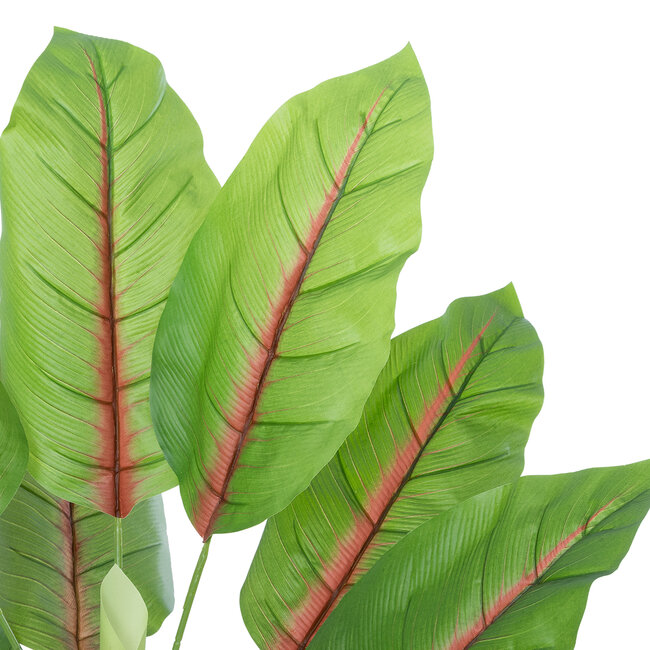 Artificial Garden BLOOD BANANA 20944 Διακοσμητικό Φυτό Αιματόφυλλη Μπανανιά Υ90cm