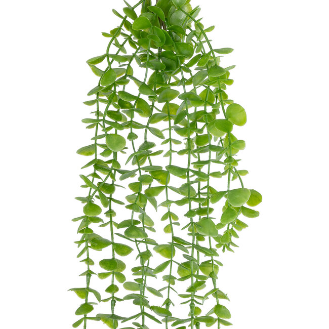 Artificial Garden HANGING EUCALYPTUS 20812 Τεχνητό Διακοσμητικό Κρεμαστό Φυτό Ευκάλυπτος Μ16 x Π9 x Υ105cm Artificial Garden HANGING EUCALYPTUS 20812 Τεχνητό Διακοσμητικό Κρεμαστό Φυτό Ευκάλυπτος Μ16 x Π9 x Υ105cm