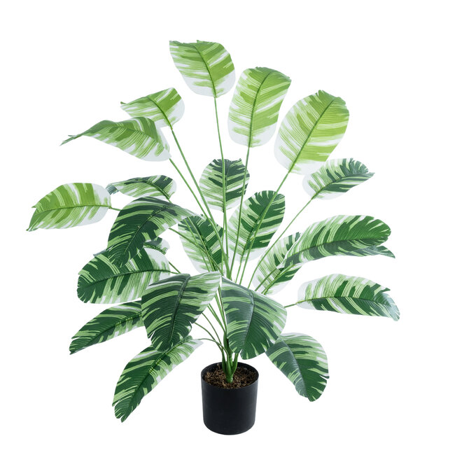 Artificial Garden BANANA ZEBRA 20918 Διακοσμητικό Φυτό Μπανανιά Ζέβρα Υ80cm