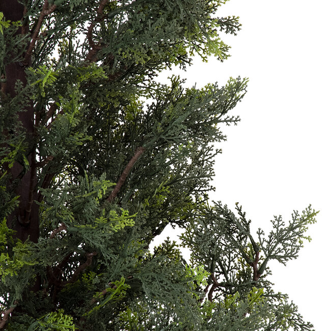 Artificial Garden LEMON CYPRESS 20153 Τεχνητό Διακοσμητικό Φυτό Λεμονόκυπάρισσο Υ180cm Artificial Garden LEMON CYPRESS 20153 Τεχνητό Διακοσμητικό Φυτό Λεμονόκυπάρισσο Υ180cm