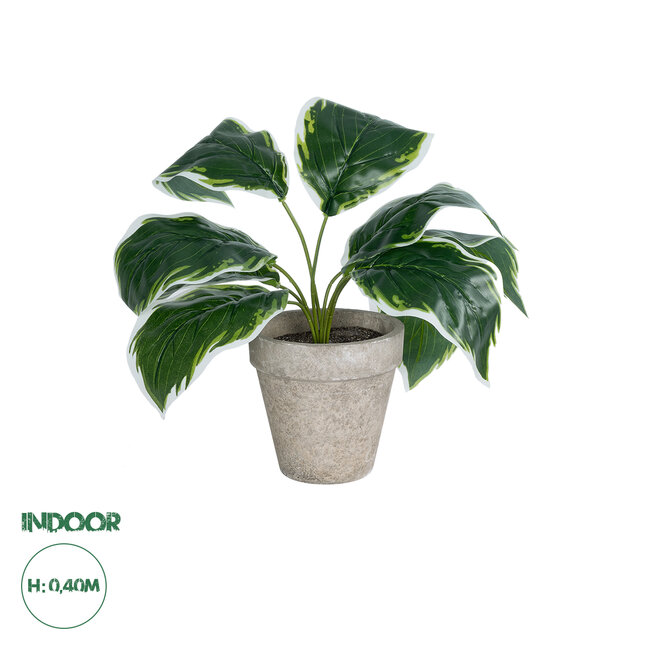 Artificial Garden WHITE HOSTA 20900 Διακοσμητικό Φυτό Λευκή  Χόστα Υ40cm