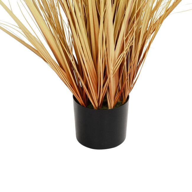Artificial Garden PAMPAS GRASS 21476 Τεχνητό Διακοσμητικό Φυτό Μπεζ Πάμπας Μ90 x Π40 x Υ150cm - 4