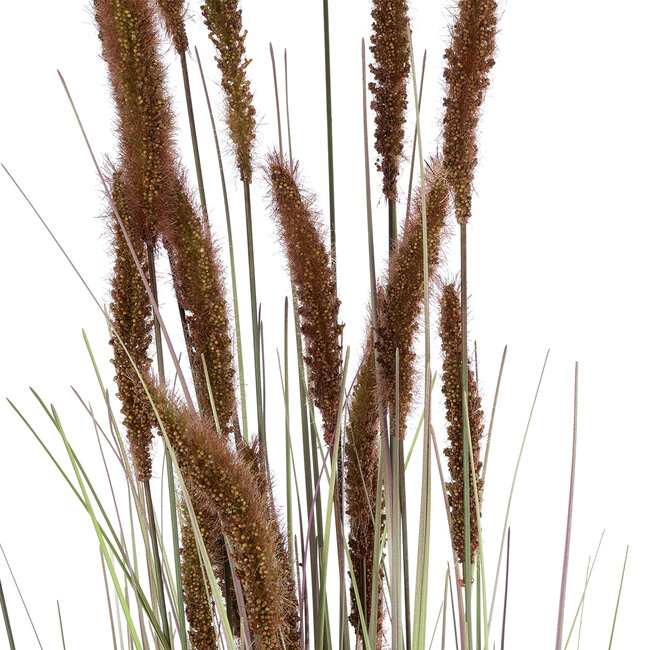 Artificial Garden BROWN LAGURUS 21101 Διακοσμητικό Φυτό Καφέ Λαγοουρά Υ140cm Artificial Garden BROWN LAGURUS 21101 Διακοσμητικό Φυτό Καφέ Λαγοουρά Υ140cm