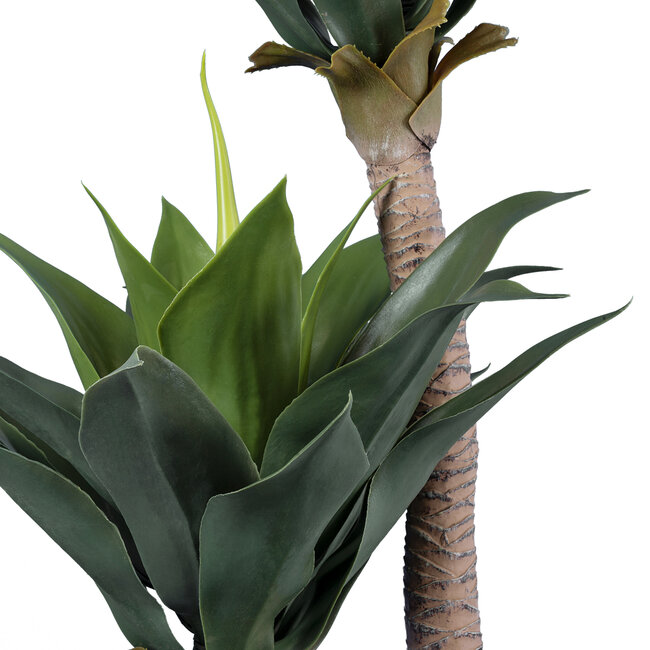 Artificial Garden AGAVE 20215 Τεχνητό Διακοσμητικό Φυτό Αγαύη Υ150cm Artificial Garden AGAVE 20215 Τεχνητό Διακοσμητικό Φυτό Αγαύη Υ150cm