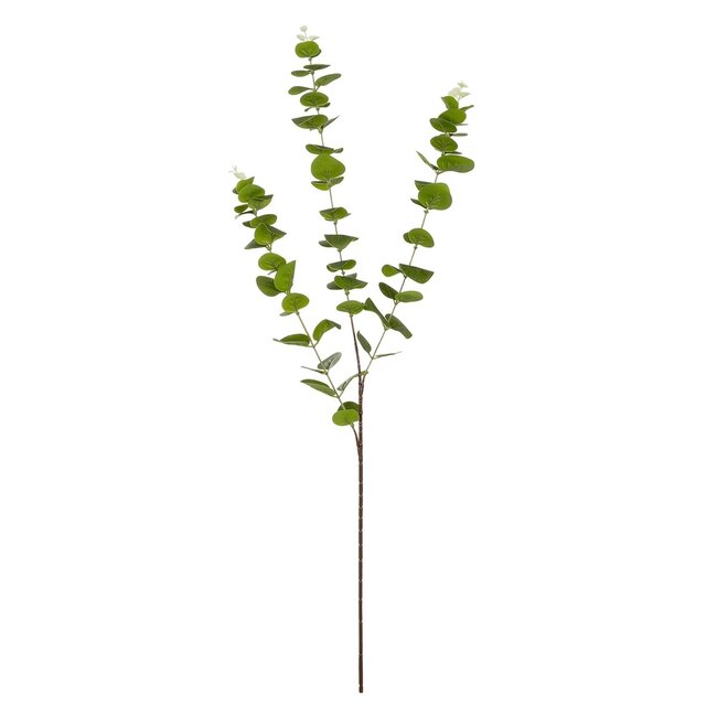 Artificial Garden EUCALYPTUS BRANCH 20484 Τεχνητό Διακοσμητικό Κλαδί Ευκάλυπτου Πράσινο Π30 x Μ30 x Υ80m