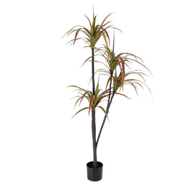 Artificial Garden DRAGON BLOOD TREE 20372 Τεχνητό Διακοσμητικό Φυτό Δράκαινα Υ180cm - 2