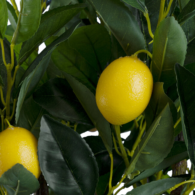 Artificial Garden LEMON TREE 20213 Τεχνητό Διακοσμητικό Δέντρο Λεμονιά Υ120cm Artificial Garden LEMON TREE 20213 Τεχνητό Διακοσμητικό Δέντρο Λεμονιά Υ120cm