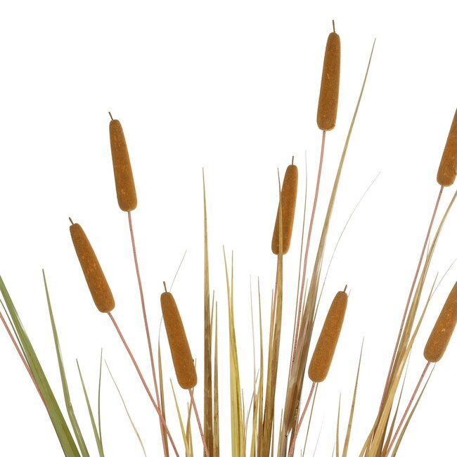 Artificial Garden TYPHA GRASS 21484 Τεχνητό Διακοσμητικό Φυτό Γρασίδι της Τύφας Μ100 x Π35 x Υ180cm - 3