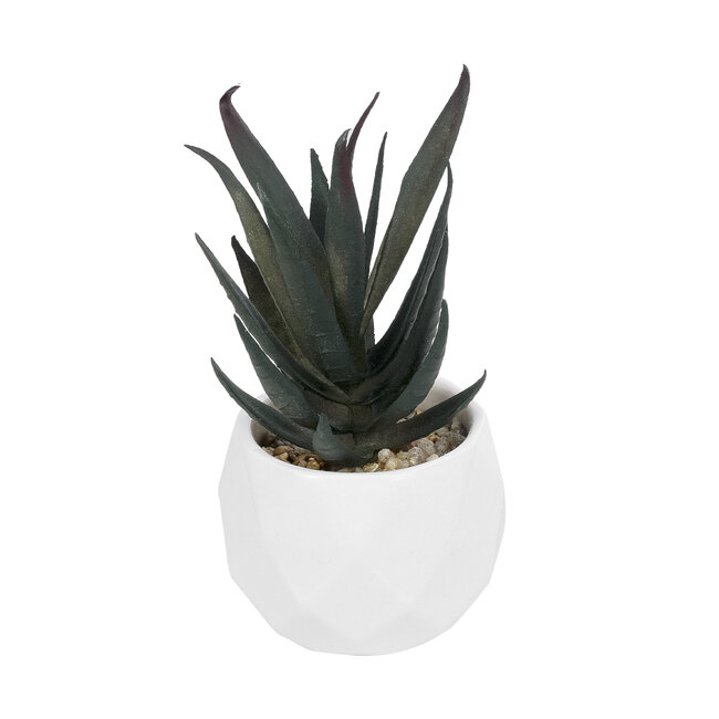 Artificial Garden SUCCULENT ALOE POTTED PLANT 20978 Διακοσμητικό Φυτό Αλόης Φ7 x Υ14cm Artificial Garden SUCCULENT ALOE POTTED PLANT 20978 Διακοσμητικό Φυτό Αλόης Φ7 x Υ14cm
