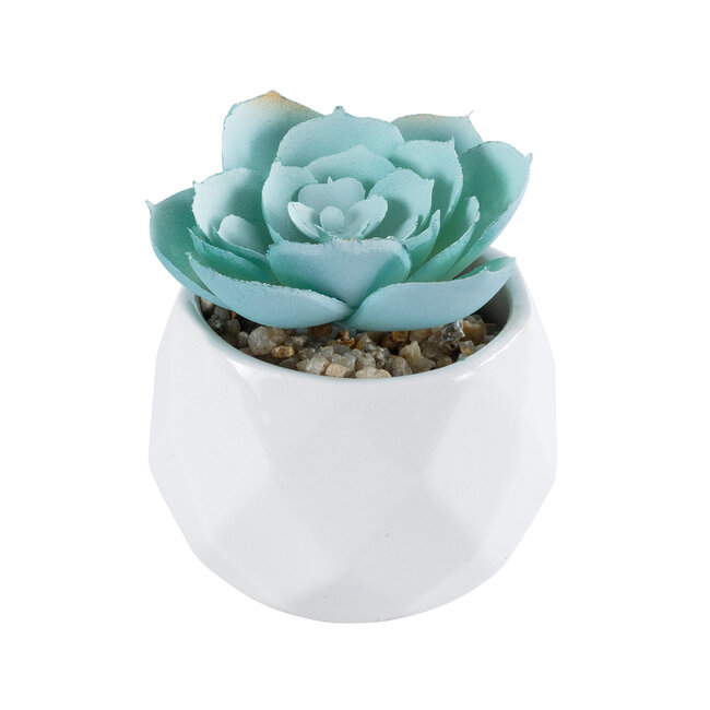 Artificial Garden SUCCULENT ECHEVERIA 20996 Διακοσμητικό Φυτό Παχύφυτο Εχεβέρια Υ7cm Artificial Garden SUCCULENT ECHEVERIA 20996 Διακοσμητικό Φυτό Παχύφυτο Εχεβέρια Υ7cm