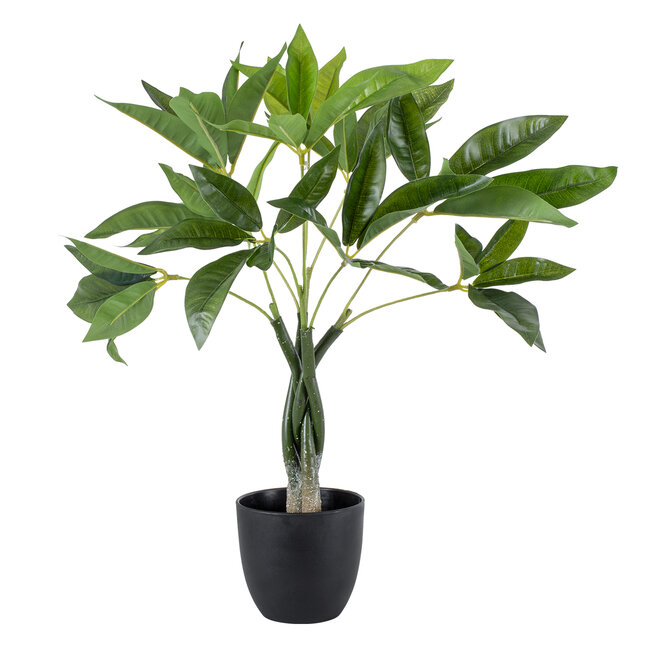 Artificial Garden PACHIRA GLABRA 20428 Τεχνητό Διακοσμητικό Φυτό Παχίρα της Τύχης Υ50cm Artificial Garden PACHIRA GLABRA 20428 Τεχνητό Διακοσμητικό Φυτό Παχίρα της Τύχης Υ50cm