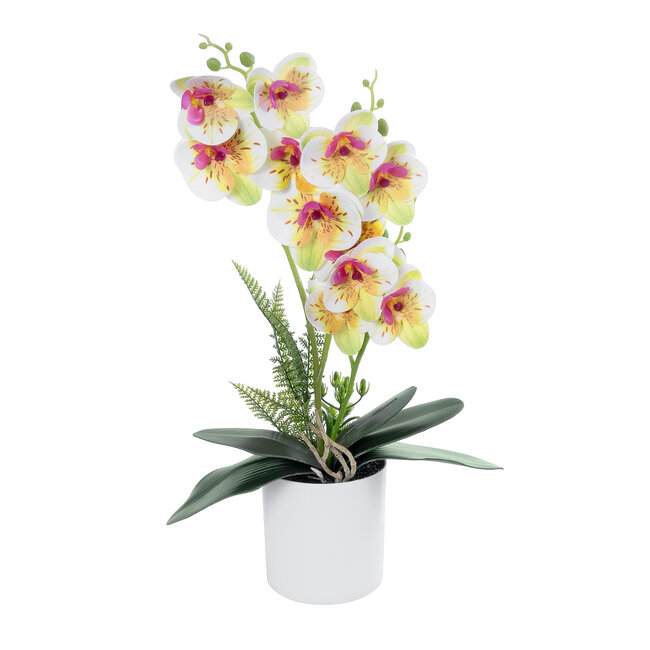 Artificial Garden WHITE - FUCHSIA ORCHID 21078 Διακοσμητικό Φυτό Λευκή - Φούξια Ορχιδέα Υ45cm Artificial Garden WHITE - FUCHSIA ORCHID 21078 Διακοσμητικό Φυτό Λευκή - Φούξια Ορχιδέα Υ45cm