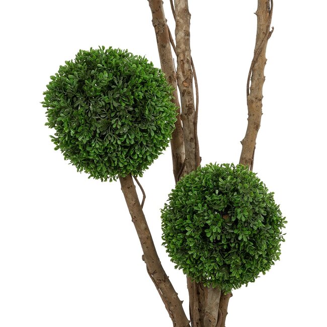 Artificial Garden BUXUS TREE 21111 Τεχνητό Διακοσμητικό Δέντρο Buxus Μ65 x Π60 x Υ200cm - 3