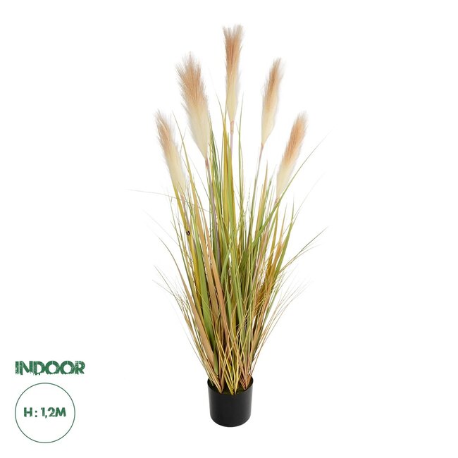 Artificial Garden PAMPAS GRASS 21477 Τεχνητό Διακοσμητικό Φυτό Παμπας Υ120cm