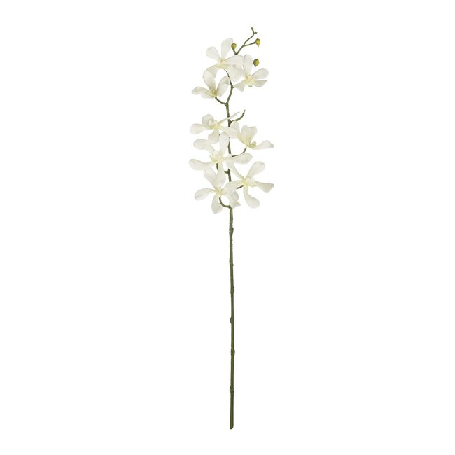 Artificial Garden WHITE VANDA ORCHID BRANCH 21409 Τεχνητό Διακοσμητικό Κλαδί Λευκή Ορχιδέα Y82cm