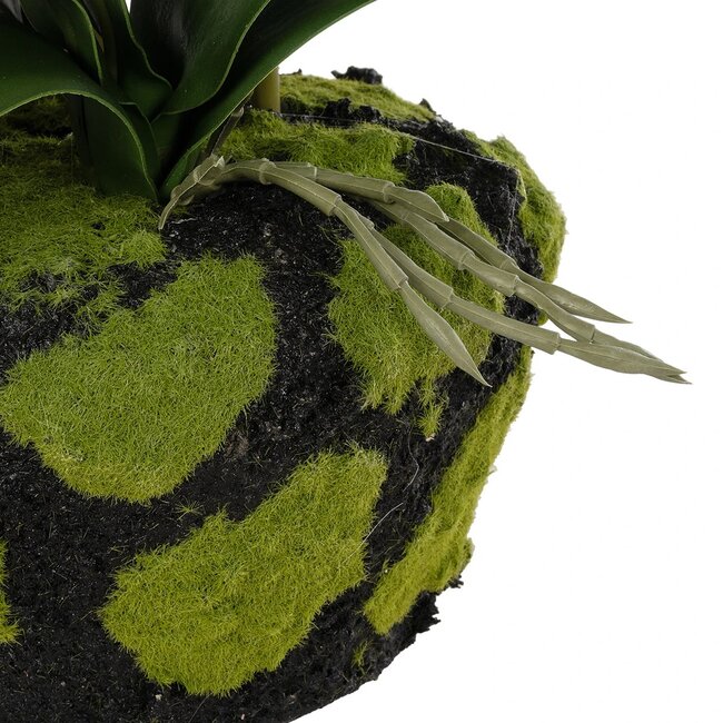 Artificial Garden BUTTERFLY ORCHID BONSAI 21400 Τεχνητό Διακοσμητικό Φυτό Ορχιδέα Μ34 x Π27 x Υ65cm - 5