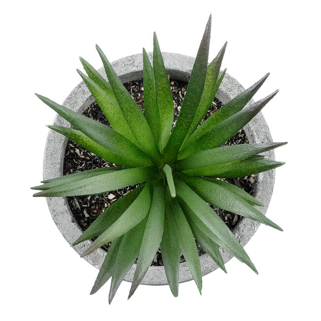 Artificial Garden SUCCULENT ALOE 21030 Διακοσμητικό Φυτό Παχύφυτο Αλόη Υ10cm Artificial Garden SUCCULENT ALOE 21030 Διακοσμητικό Φυτό Παχύφυτο Αλόη Υ10cm