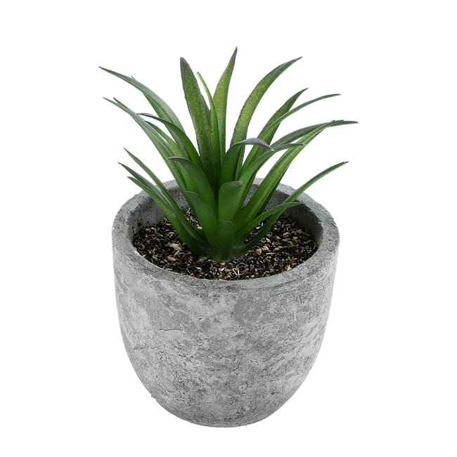 Artificial Garden SUCCULENT ALOE 21030 Διακοσμητικό Φυτό Παχύφυτο Αλόη Υ10cm Artificial Garden SUCCULENT ALOE 21030 Διακοσμητικό Φυτό Παχύφυτο Αλόη Υ10cm